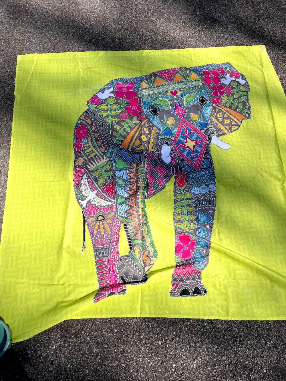 Deny Designs Elephant Shower Curtain & Hooks Green Pink Blue Colorful Rave Boho
